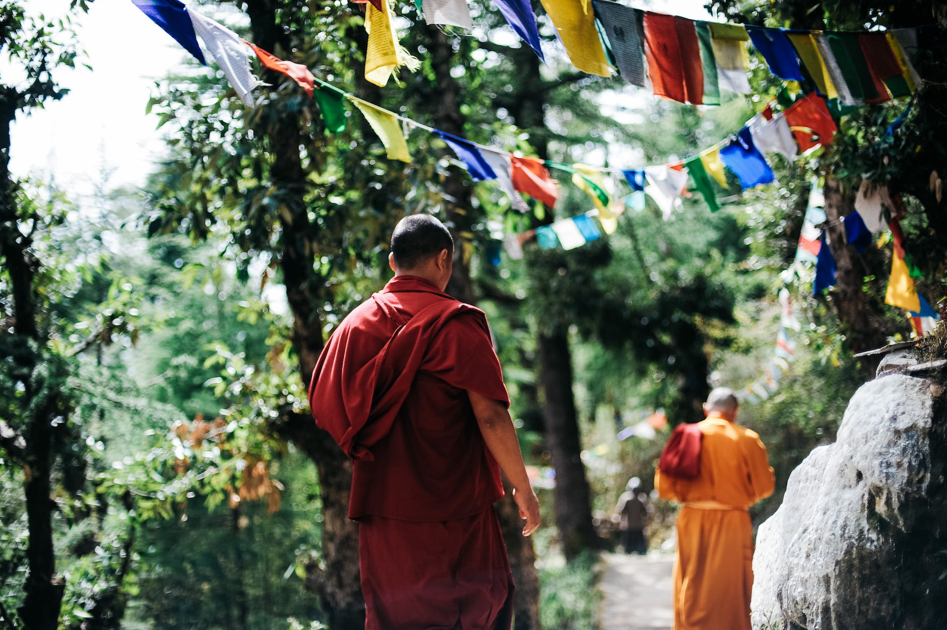 two monks walking between trees